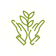 Hands holding a sprouting plant icon.